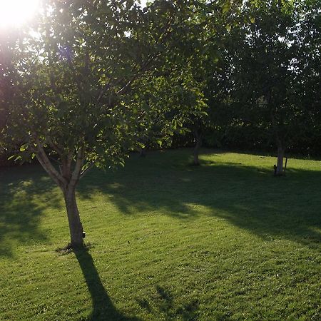 Salesi Apartment Мегалополис Екстериор снимка